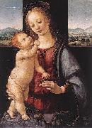 LORENZO DI CREDI Madonna and Child with a Pomegranate USA oil painting artist